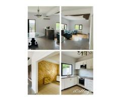Vila Plopii fara sot, Bucium - Proprietar - Imagine 5
