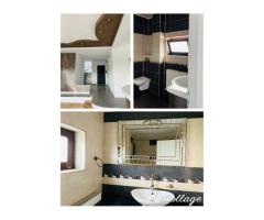 Vila Plopii fara sot, Bucium - Proprietar - Imagine 7