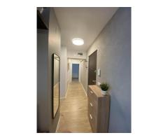Lux | 2 camere, 2 bai | Terasa | Belvedere Residences - Imagine 6