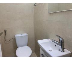 Apartament luminos cu gradina Sos Nordului Parc  Herastrau - Imagine 12