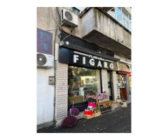 Spatiu comercial Pache Protopopescu