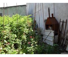 Teren si hala mica industriala  zona Fundeni-Colentina- Doboesti - Imagine 9