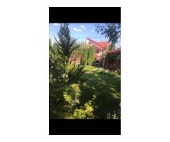 Vanzare vila 300mp,D+P+E+M,Iasi Belvedere-Rond Vechi,teren 550 mp - Imagine 6