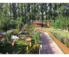 Vand/Inchiriez Casa 460mp+teren 1090mp Lac Ezareni - 1250euro/mp - Imagine 4