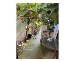 De vanzare casa trei camere
