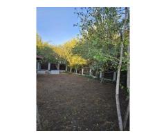 Casa individuala sector 5, strada dantelei, 500 m2 curte - Imagine 3