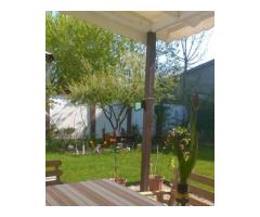 Casa/Vila/Spatiu comercial  Rahova-Sos.Salaj - Imagine 9