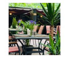 Predare afacere restaurant - Imagine 2