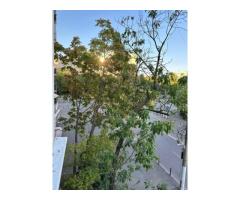 Vand apartament 4 camere Drumul Taberei Valea Argesului 2 - Imagine 12
