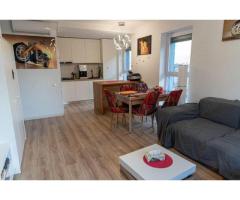 Apartament 4 camere Hercesa