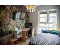Apartament 4 camere Hercesa - Imagine 3