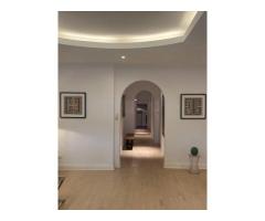 Str Belgrad, Capitale, Ap. tip duplex, 221mp: 122mp Hochparterre + 99mp Demisol - Imagine 12
