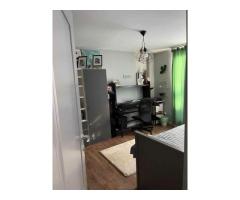 Unic! Apartament 5 camera si curte de 210 mp, central - Imagine 5
