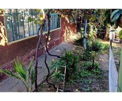 Casa cu teren Bucurestii Noi - Pod Constanta 220mp - Imagine 3