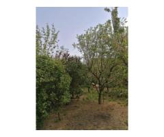 Ag EUROPA vinde casa 6 cam teren 11 ari în zona 14 Mai. - Imagine 2