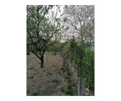Ag EUROPA vinde casa 6 cam teren 11 ari în zona 14 Mai. - Imagine 5