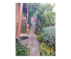 ageuropa.ro vinde casa in zona 14 Mai cu 3 cam. si teren aferent de 500mp. - Imagine 11