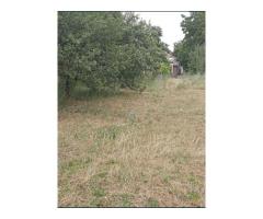 Casa cu teren de vanzare-Satmarel, Satu Mare - Imagine 6