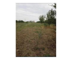 Casa cu teren de vanzare-Satmarel, Satu Mare - Imagine 8
