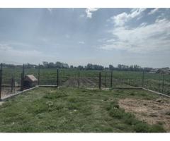 Vand urgent Casa (Boghis SM) sau schimb cu aprtament - Imagine 3