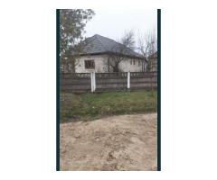 Casa Valea Vinului - Imagine 2