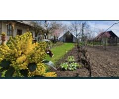Vand casa in Com.Petresti, ultracentral, 42 ari teren - Imagine 4