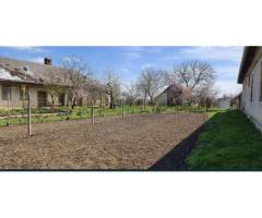 Vand casa in Com.Petresti, ultracentral, 42 ari teren - Imagine 5