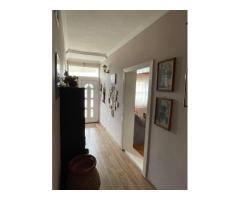 De vanzare casa 5 camere Carei - Imagine 3