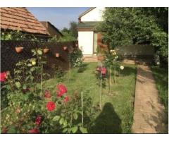 Casa la cheie 4 camere Carei gradina viilor - Imagine 3
