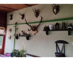 Casa in Paulesti - Imagine 2