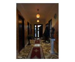 Casa de vanzare P+1, 4 Garaje, Vetis - Imagine 5