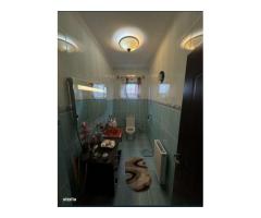 Casa de vanzare P+1, 4 Garaje, Vetis - Imagine 11