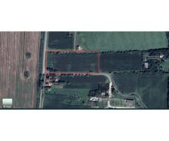 Vand teren extravilan 8000 mp - Imagine 3