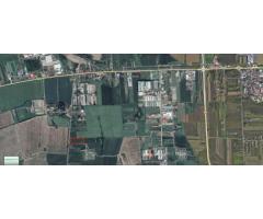 Vand teren extravilan 8000 mp - Imagine 4
