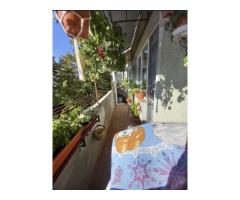 BRASADAS vinde ap 2 cam etaj 4/4 Careiului. - Imagine 6
