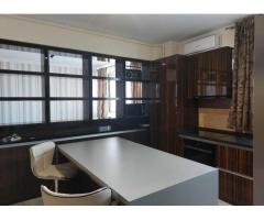 Apartament Bratianu - Imagine 4