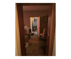 Ap 3 camere semi Dacia - Imagine 2