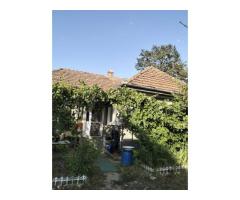 Casa 81mp, teren 81 ari, anexe, pomărie tânără de meri de vânzare