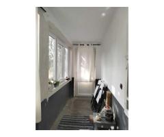 Casa 81mp, teren 81 ari, anexe, pomărie tânără de meri de vânzare - Imagine 3