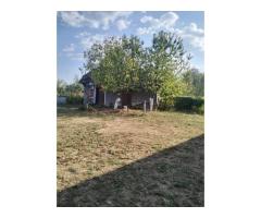 Casa 81mp, teren 81 ari, anexe, pomărie tânără de meri de vânzare - Imagine 7