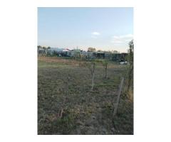 Vand teren intravilan Balta Blonda - Imagine 3