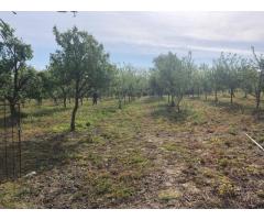 Casa de vanzare in loc. Crucisor - Imagine 8