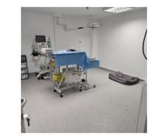 OCAZIE Spatiu Comercial Herastrau/Aviatiei - Imagine 11