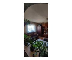 BRASADAS vinde URGENT ap 2 cam etaj 4/4 pe Aleea Prahovei.