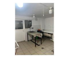 Imobil multifuncțional, 450 mp utili, teren 640 mp, Torontalului - Imagine 3