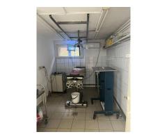 Imobil multifuncțional, 450 mp utili, teren 640 mp, Torontalului - Imagine 5