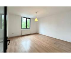 Inchiriere casă complet renovată cu 4 camere  Băneasa, Sector 1 - Imagine 12