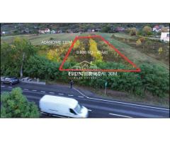 Teren de vanzare 4.000m2 in Cicarlau la Drum European E58 BM-SM KM-15