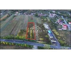 Teren de vanzare 4.000m2 in Cicarlau la Drum European E58 BM-SM KM-15 - Imagine 2