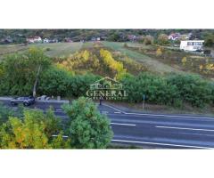 Teren de vanzare 4.000m2 in Cicarlau la Drum European E58 BM-SM KM-15 - Imagine 3